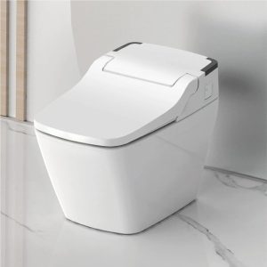 Nix 80%+ Toilet Paper|Smart Bidet Toilet